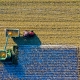 Minnesota’s Broadband Expansion: Local Farms to Statewide Fiber