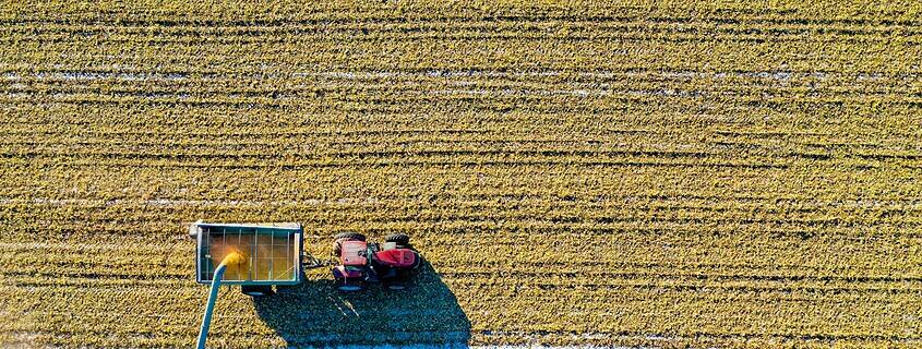 Minnesota’s Broadband Expansion: Local Farms to Statewide Fiber