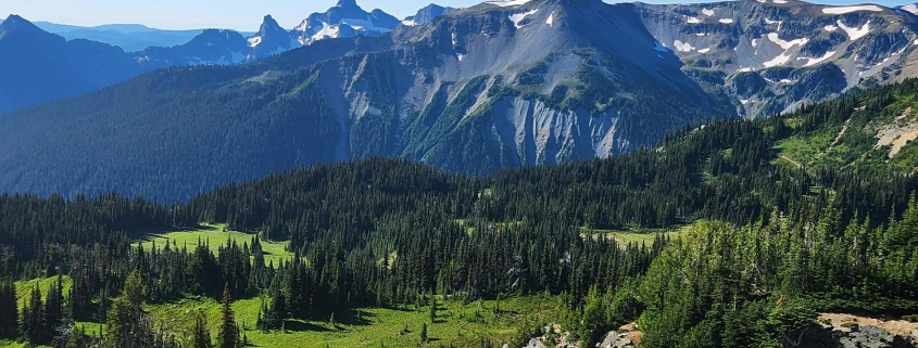 Fiber Construction Expands in Washington State With New Builds