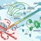Editorial illustration for Residential Proxy Churn Is Breaking the Old Logic of IP Reputation